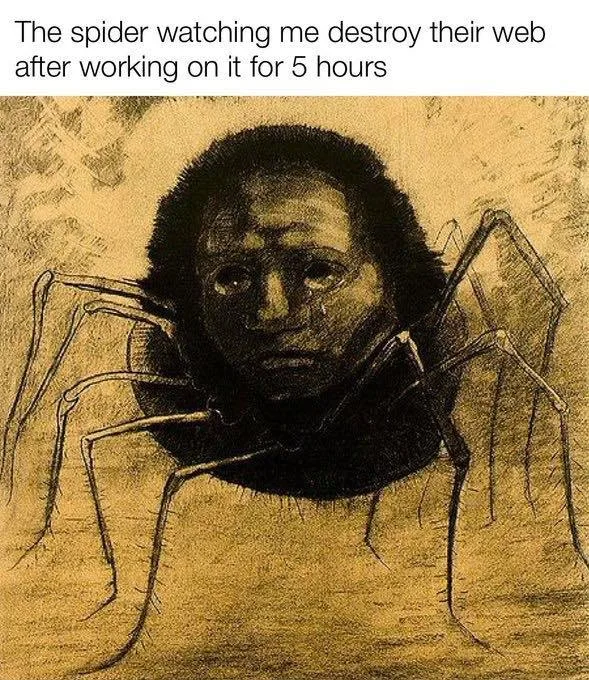 spider meme