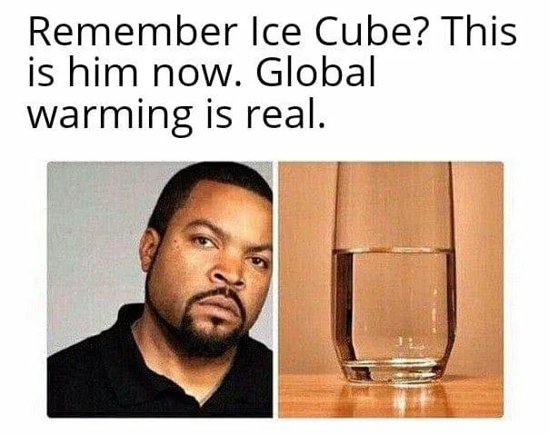global warming meme