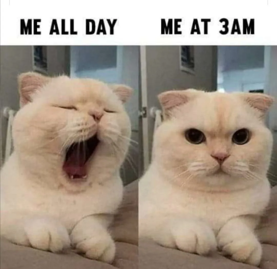 insomnia meme