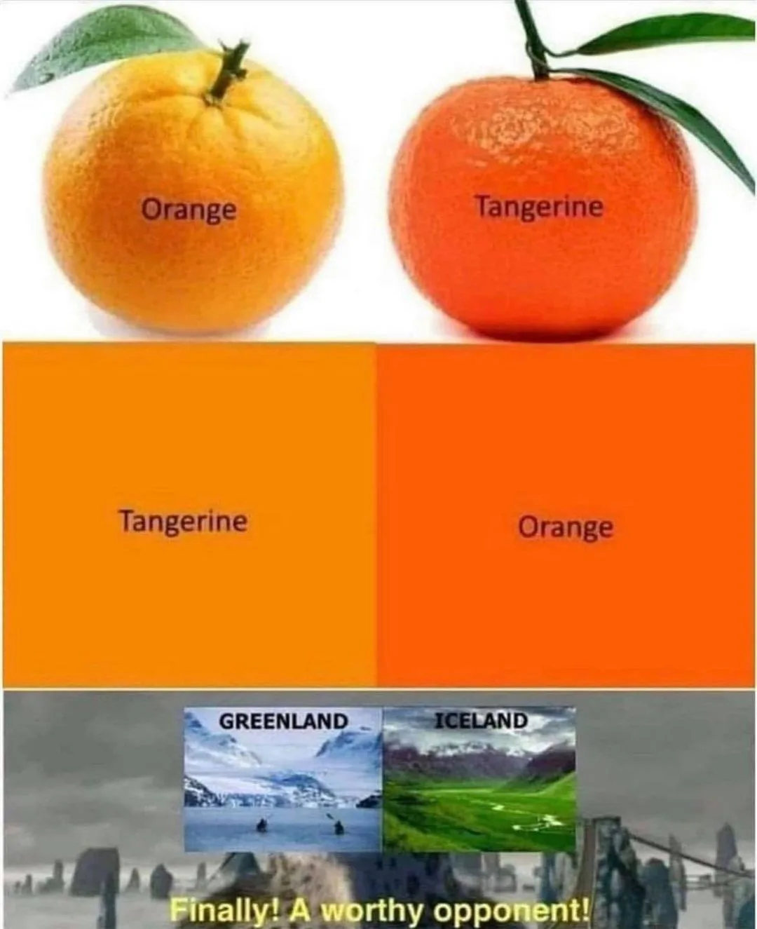 orange meme