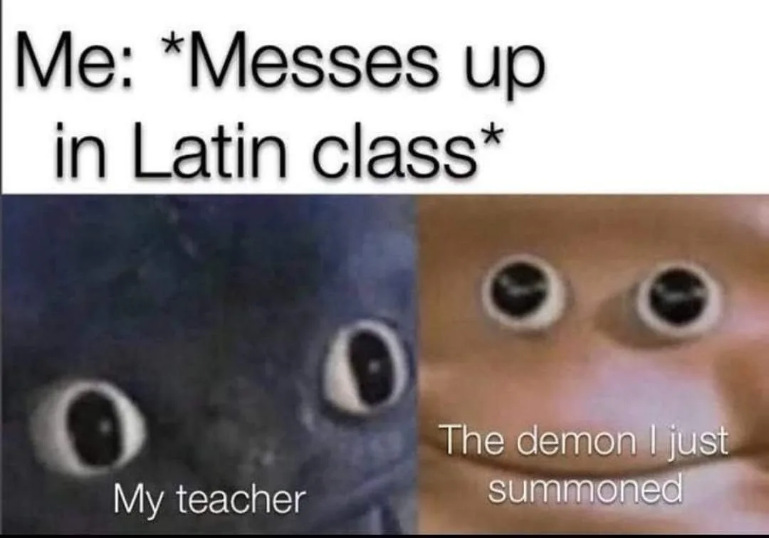 Latin (language) meme