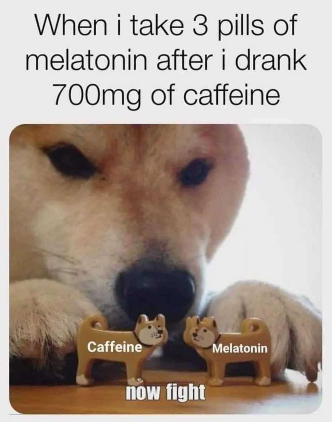 caffeine meme
