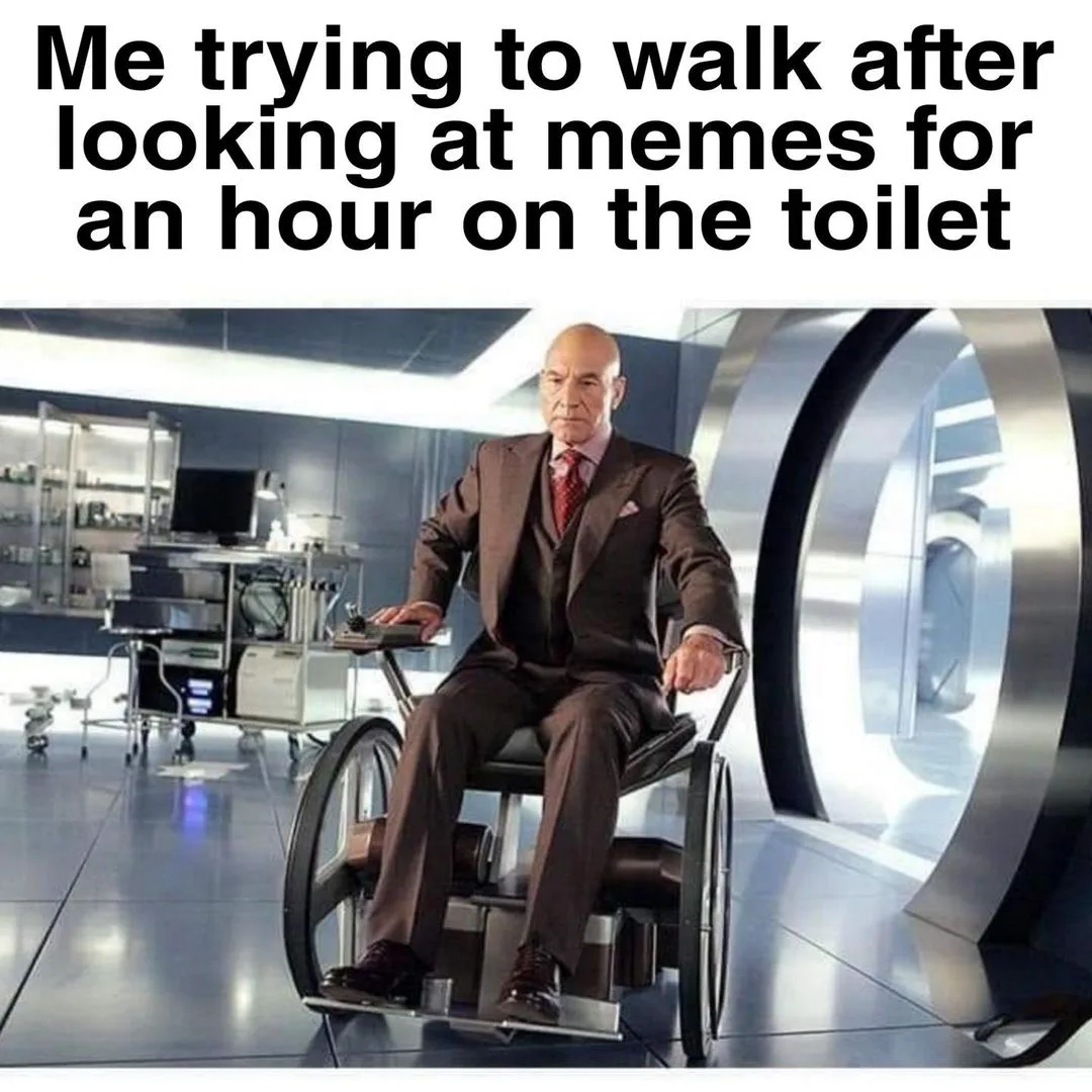 toilet meme