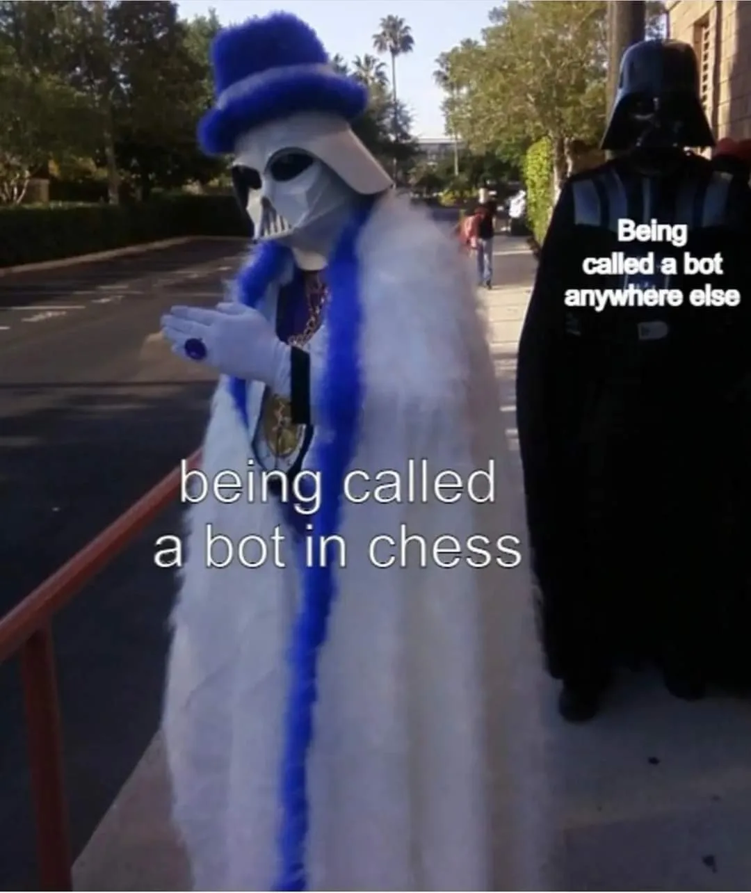 chess meme