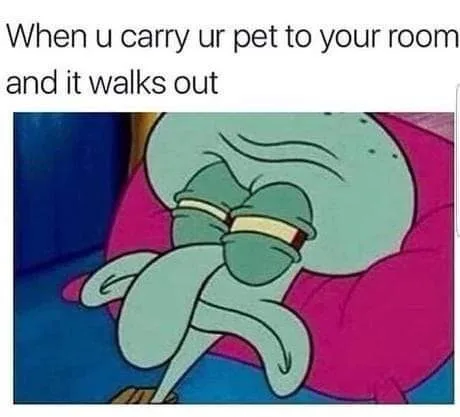 dog owner meme