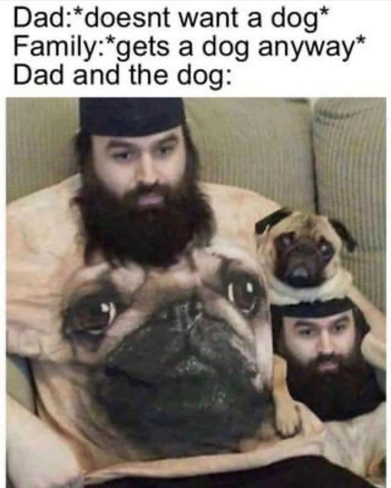 dog owner meme