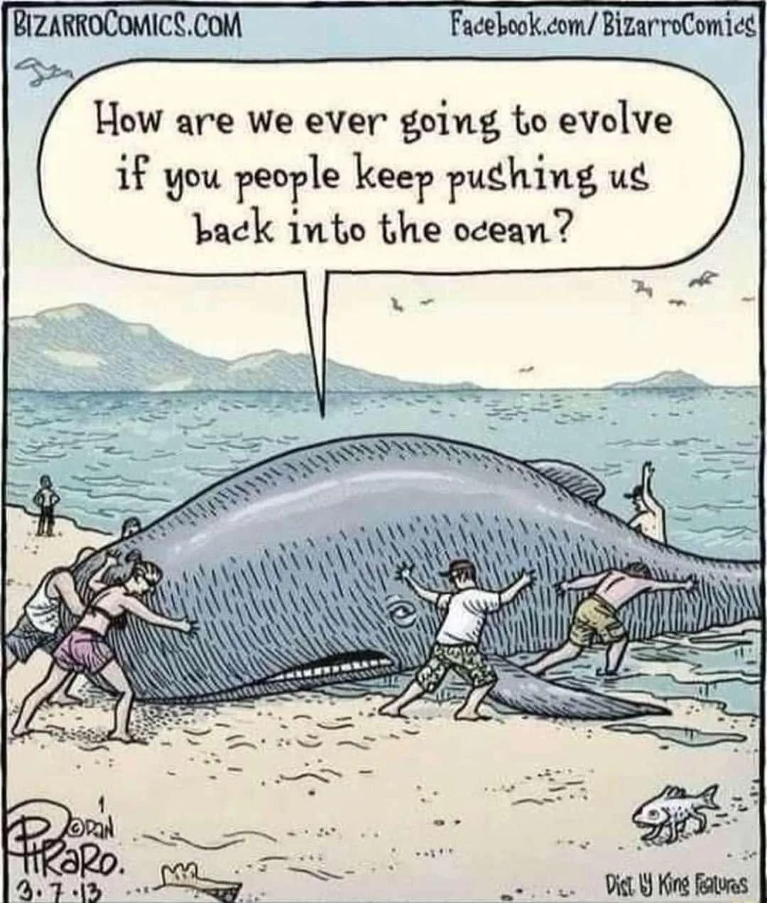evolution meme