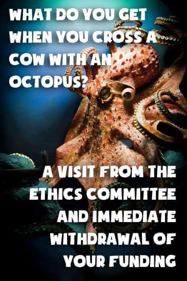 research meme