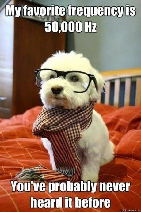 hipster meme