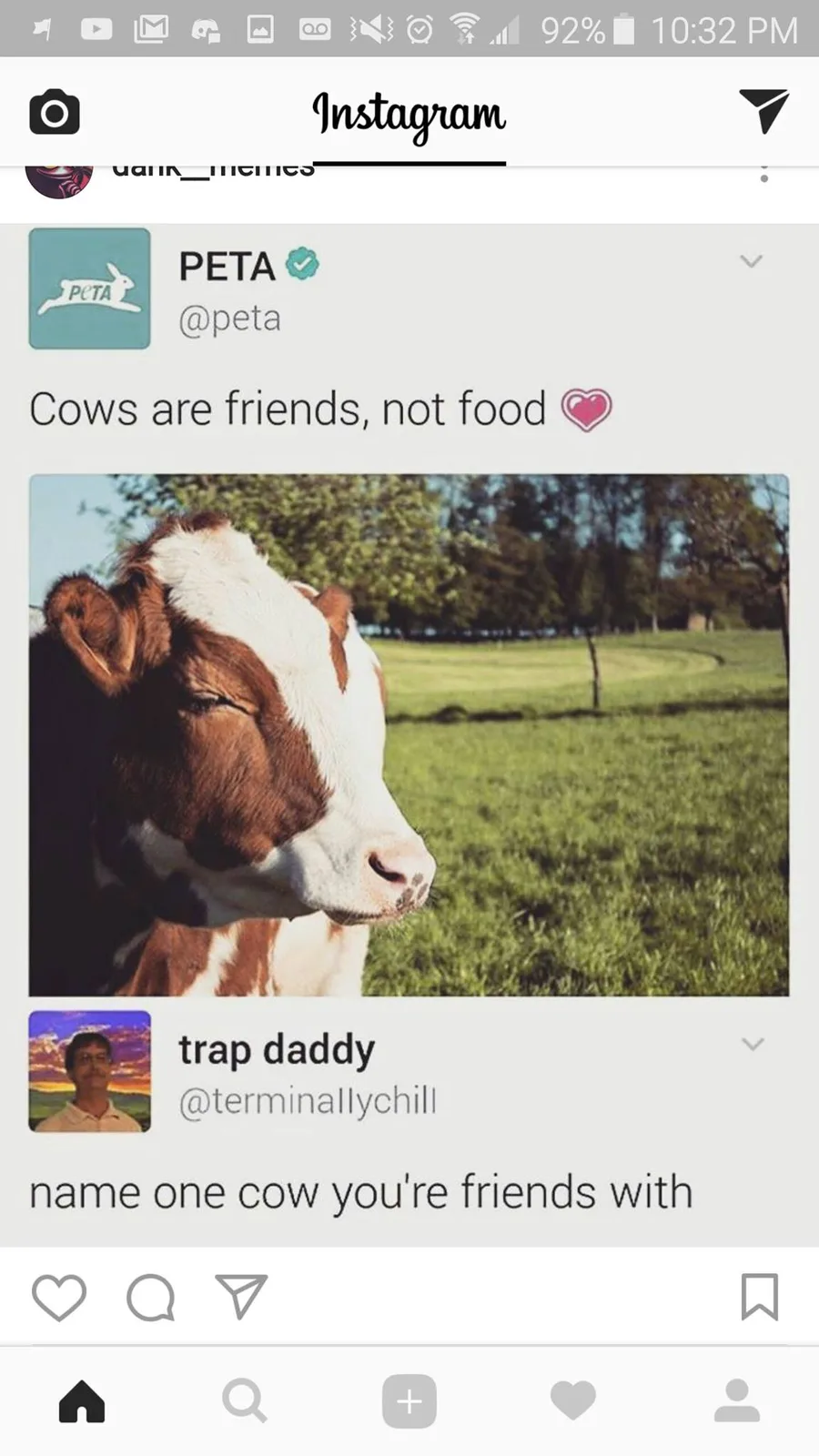 vegetarianism meme