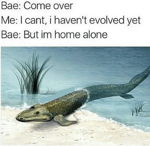 evolution meme