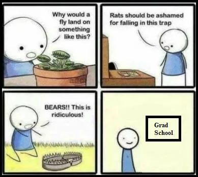 graduate study meme