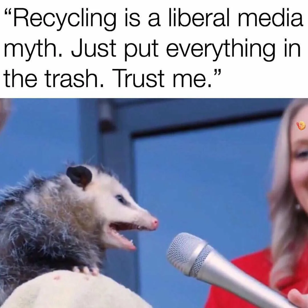 opposum meme