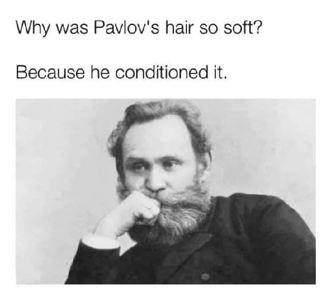shampoo meme