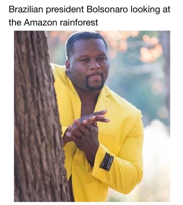 environmentalism meme