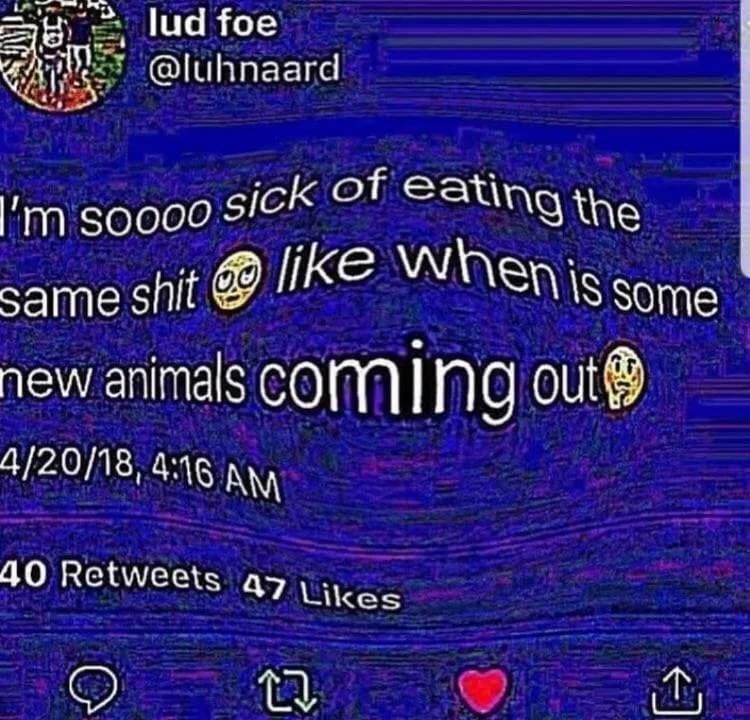 new meme