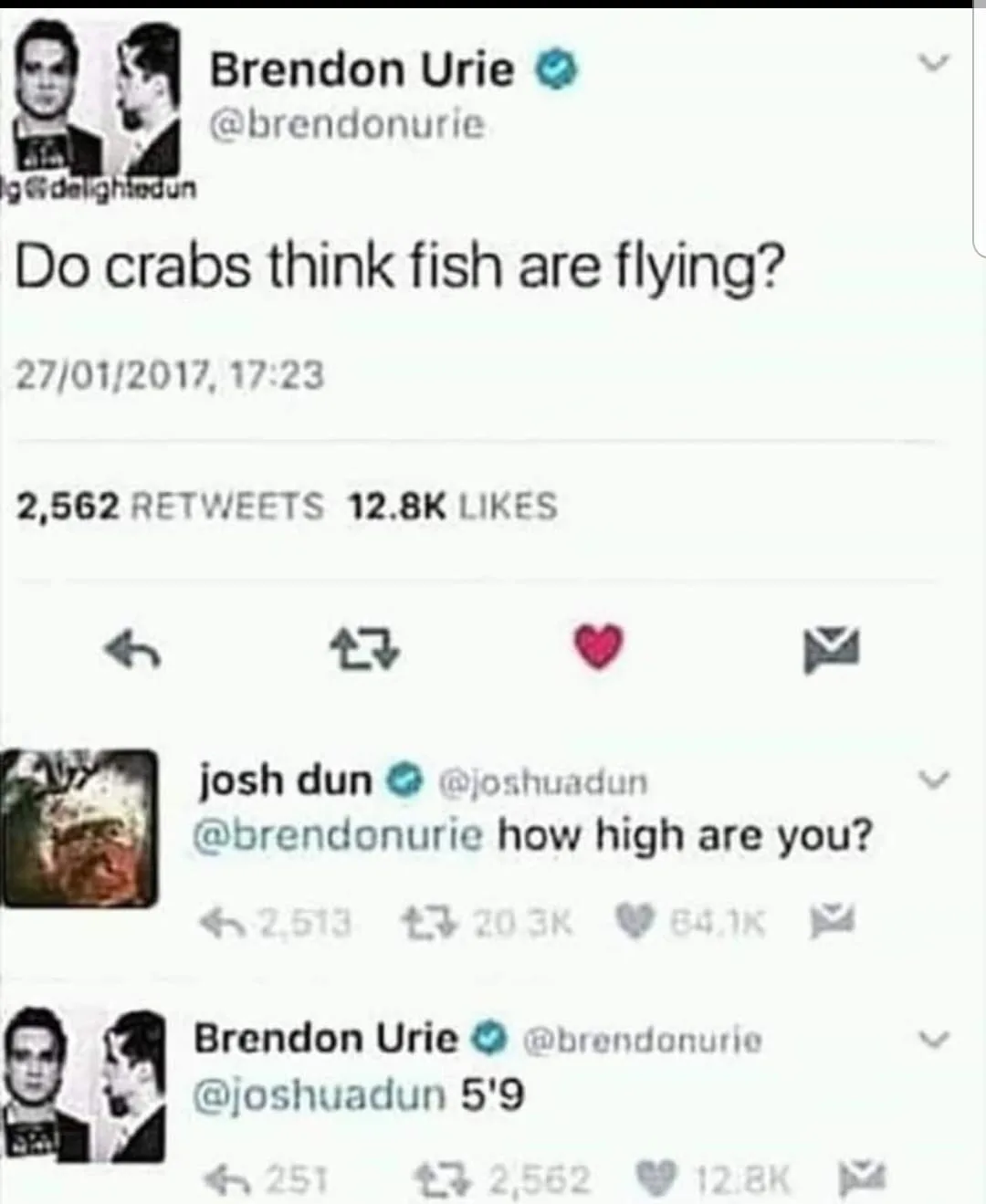 flying meme