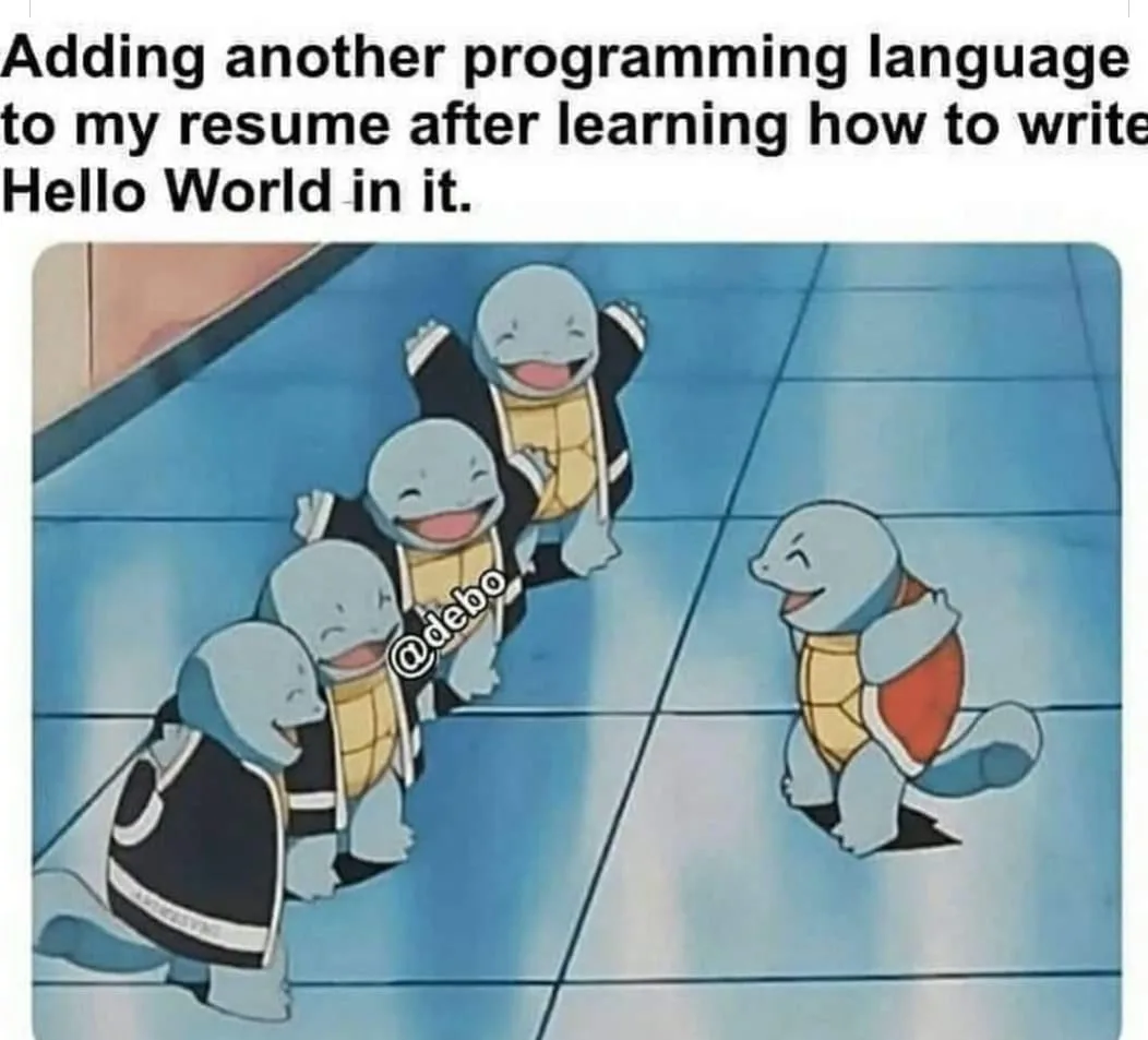 computer programming meme