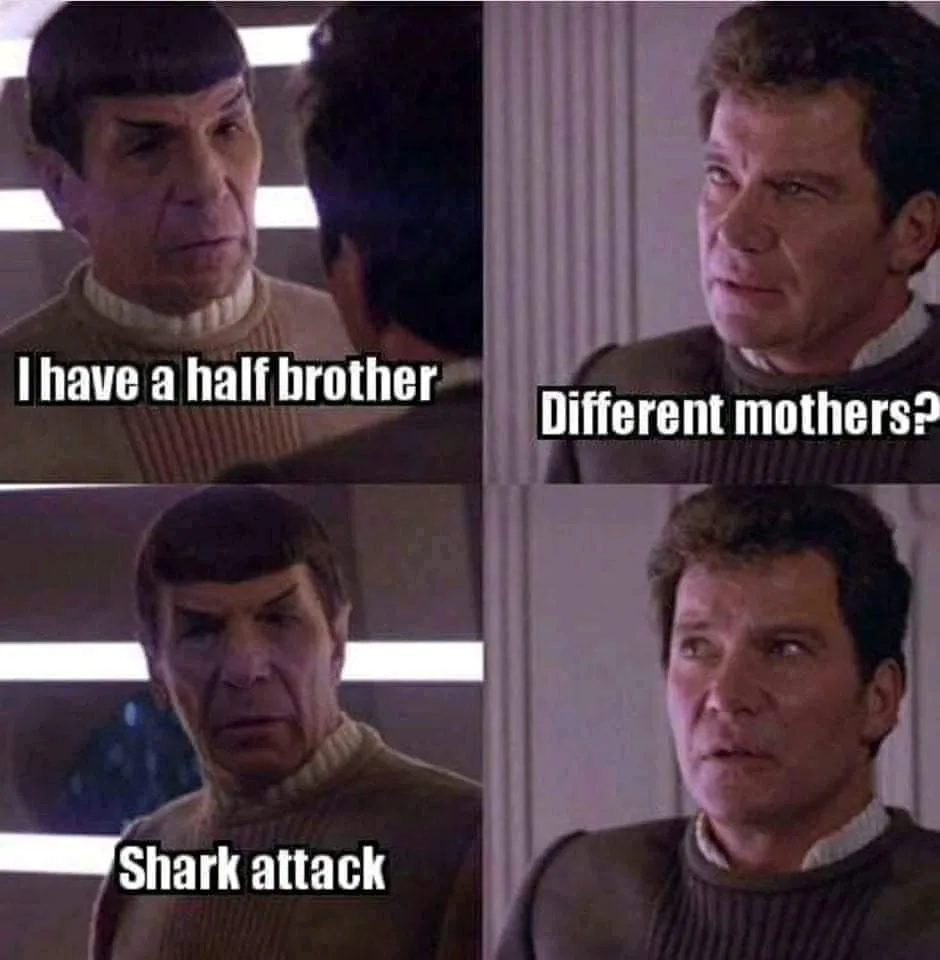 shark attack meme