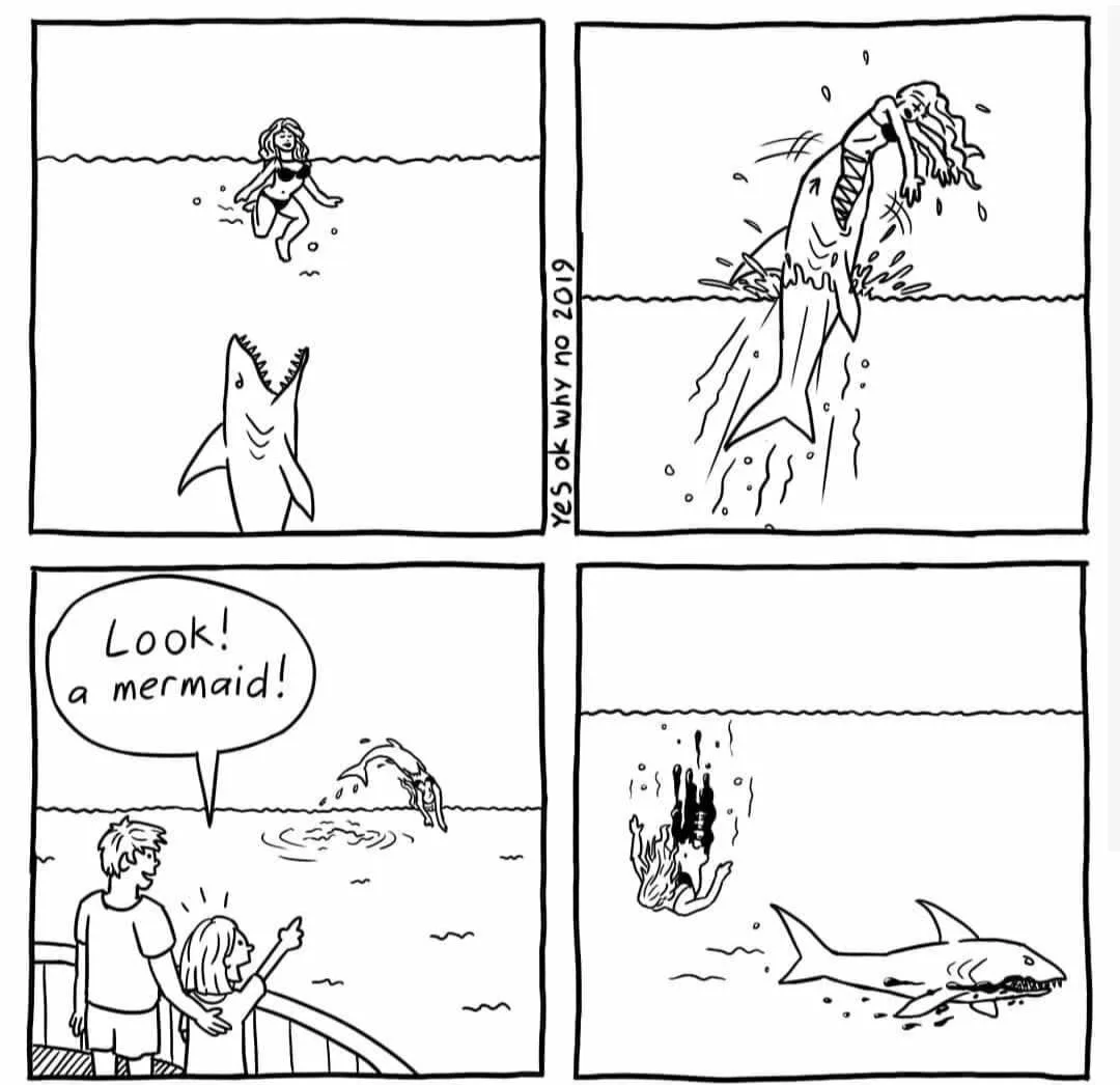 shark attack meme