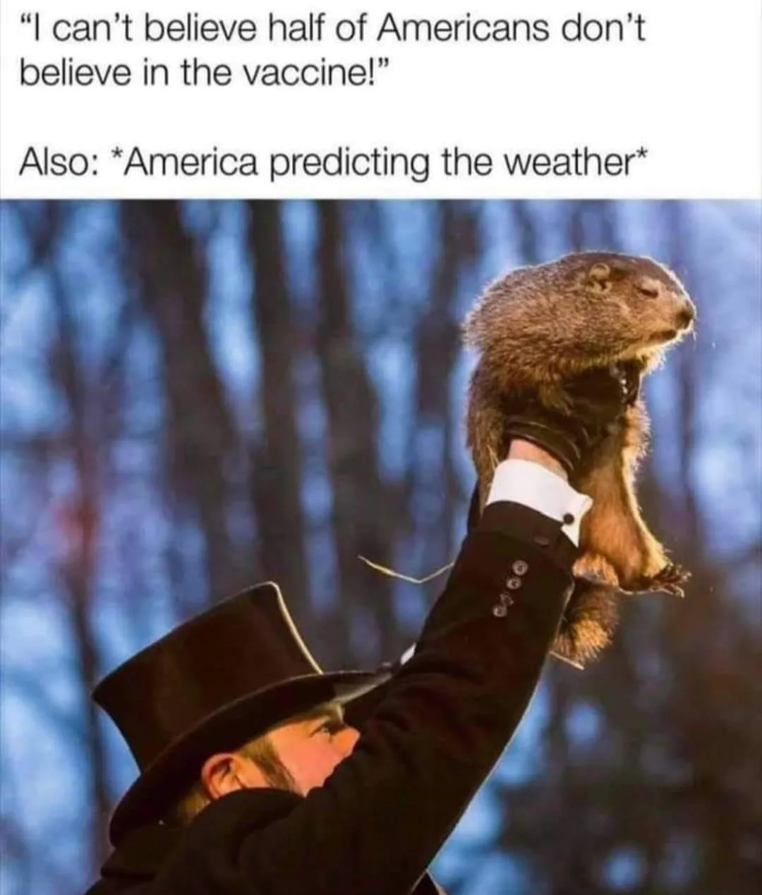 America meme