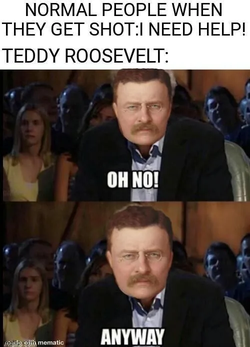 Theodore Roosevelt meme