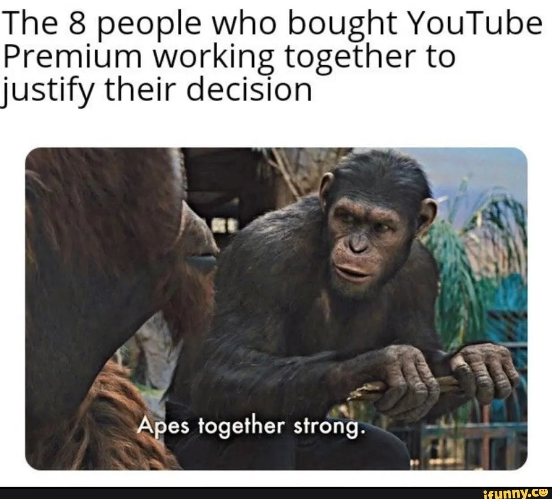 YouTube meme