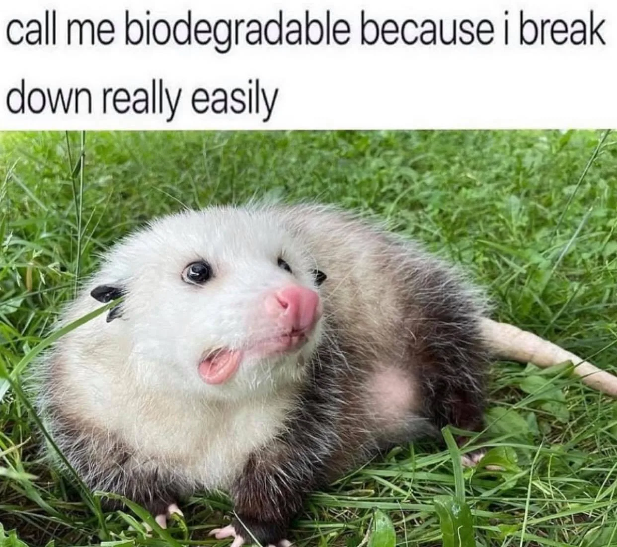 breakdown meme