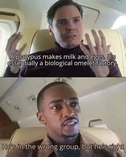 milk meme