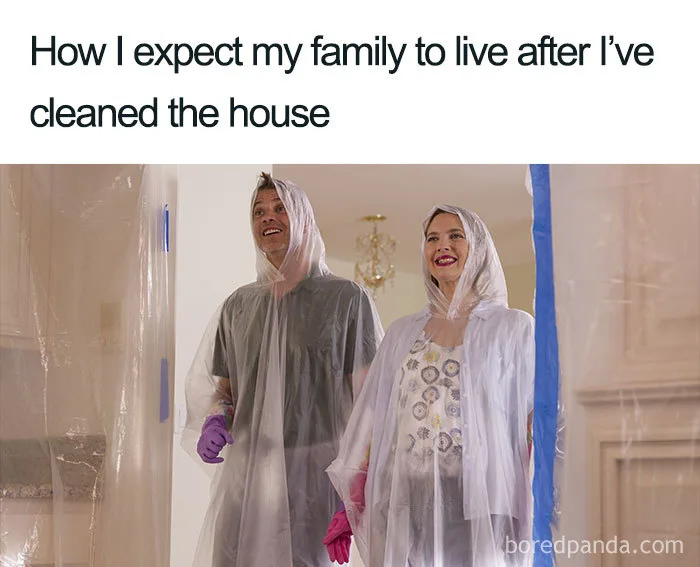 spring cleaning meme