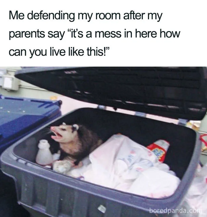 messiness meme