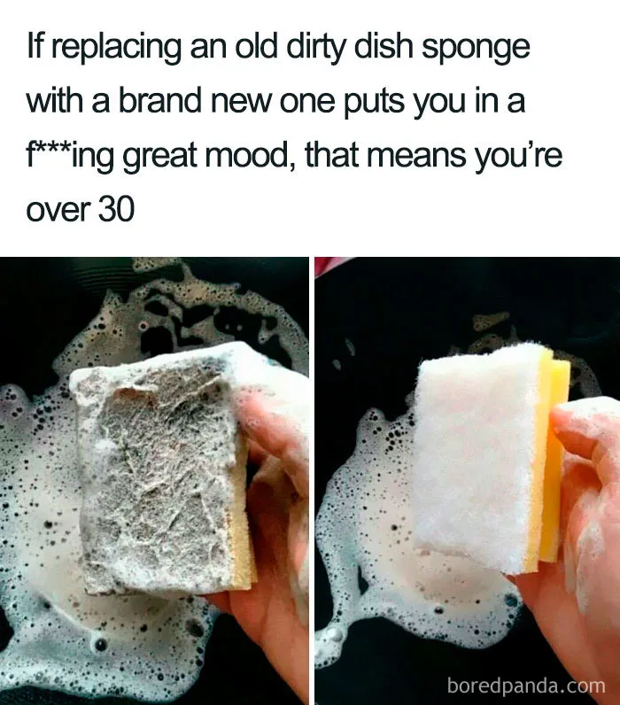 adulthood meme