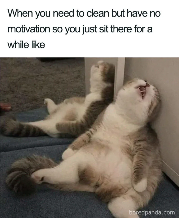 housework meme