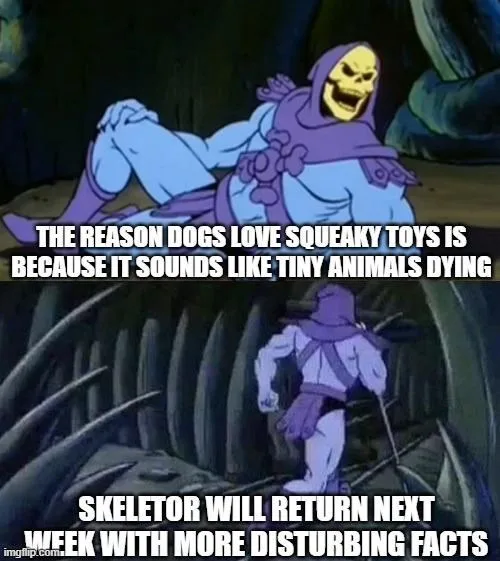 squeaky toy meme