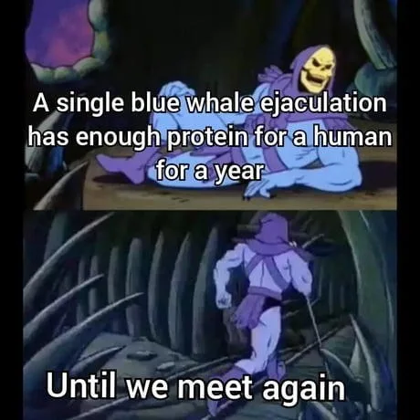 whale meme