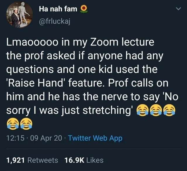 Zoom meme