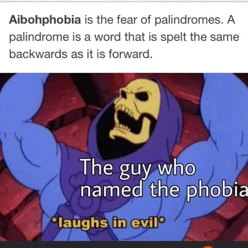 palindrome meme