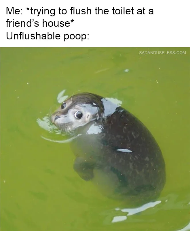 guest meme