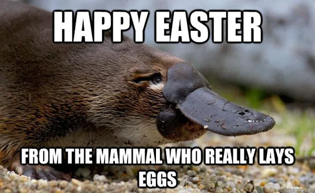 Easter meme