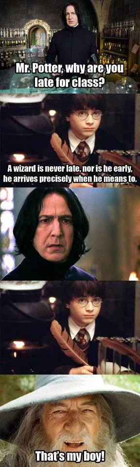 Harry Potter meme