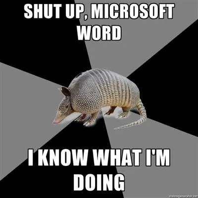 Microsoft meme