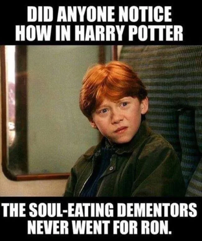 Harry Potter meme