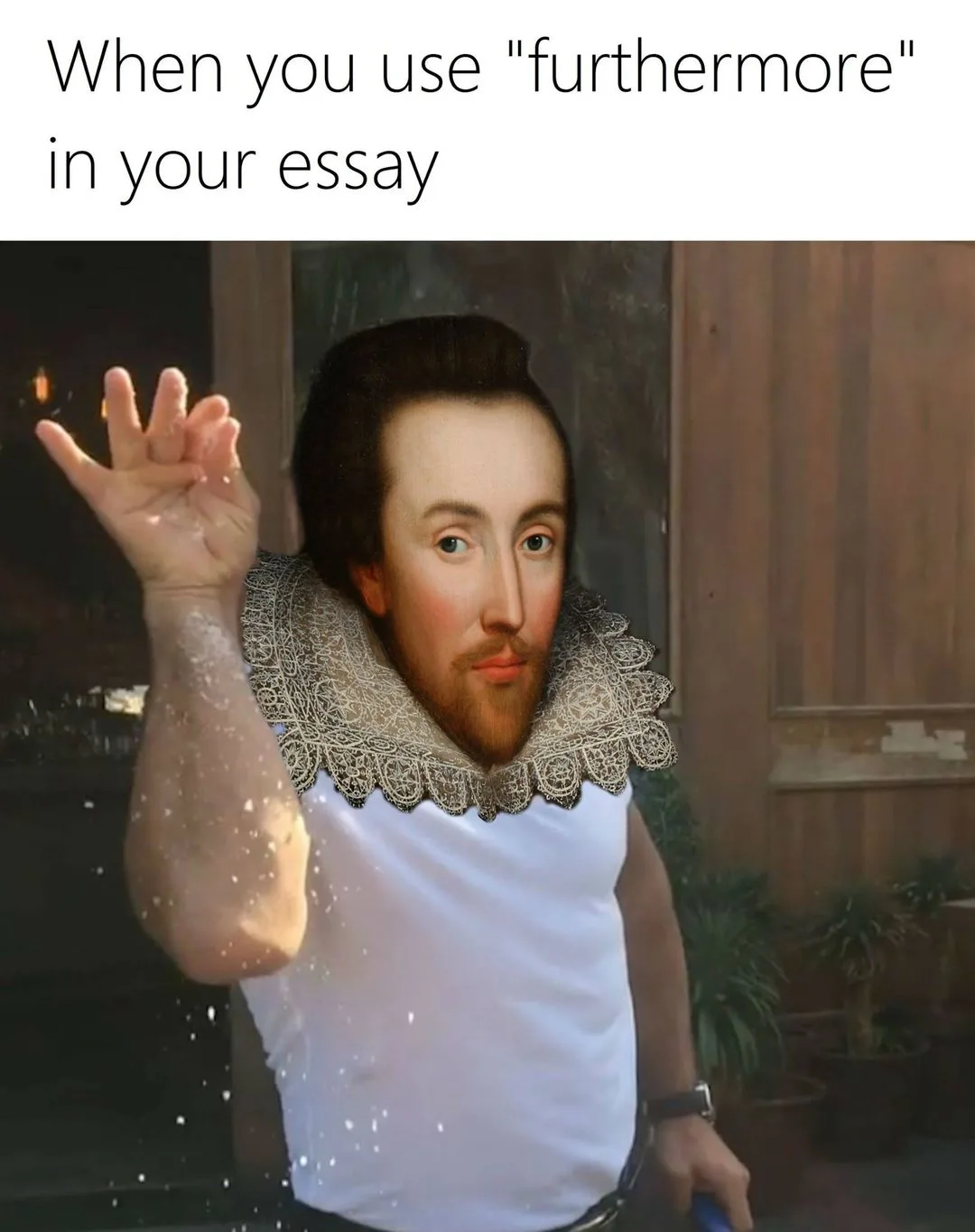 essay meme