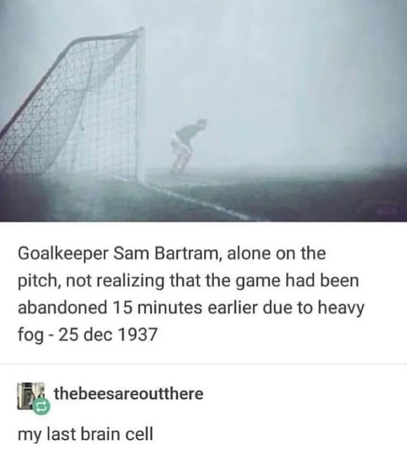 fog meme
