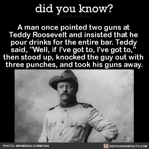 Theodore Roosevelt meme