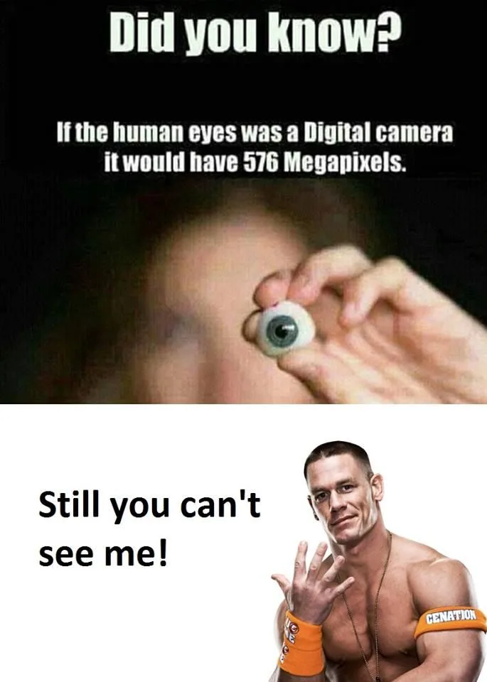 photography meme