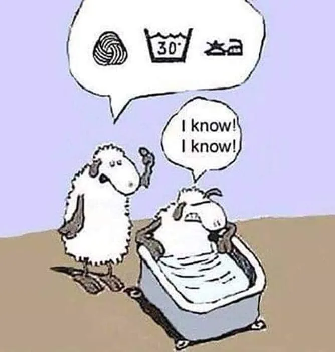 wool meme