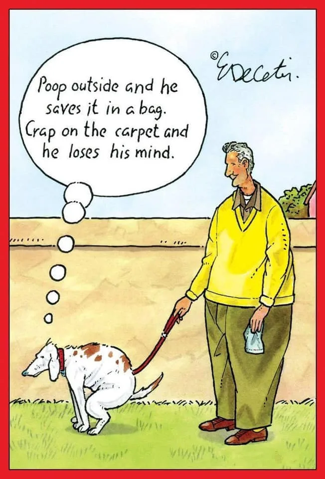 dog owner meme