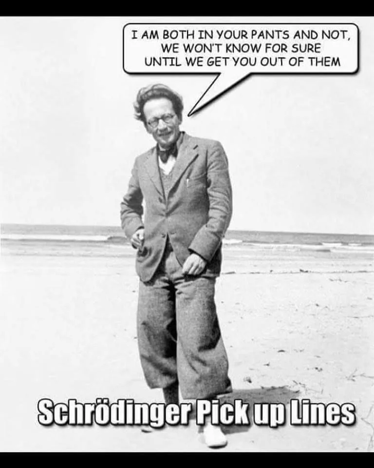 Schroedinger's cat meme