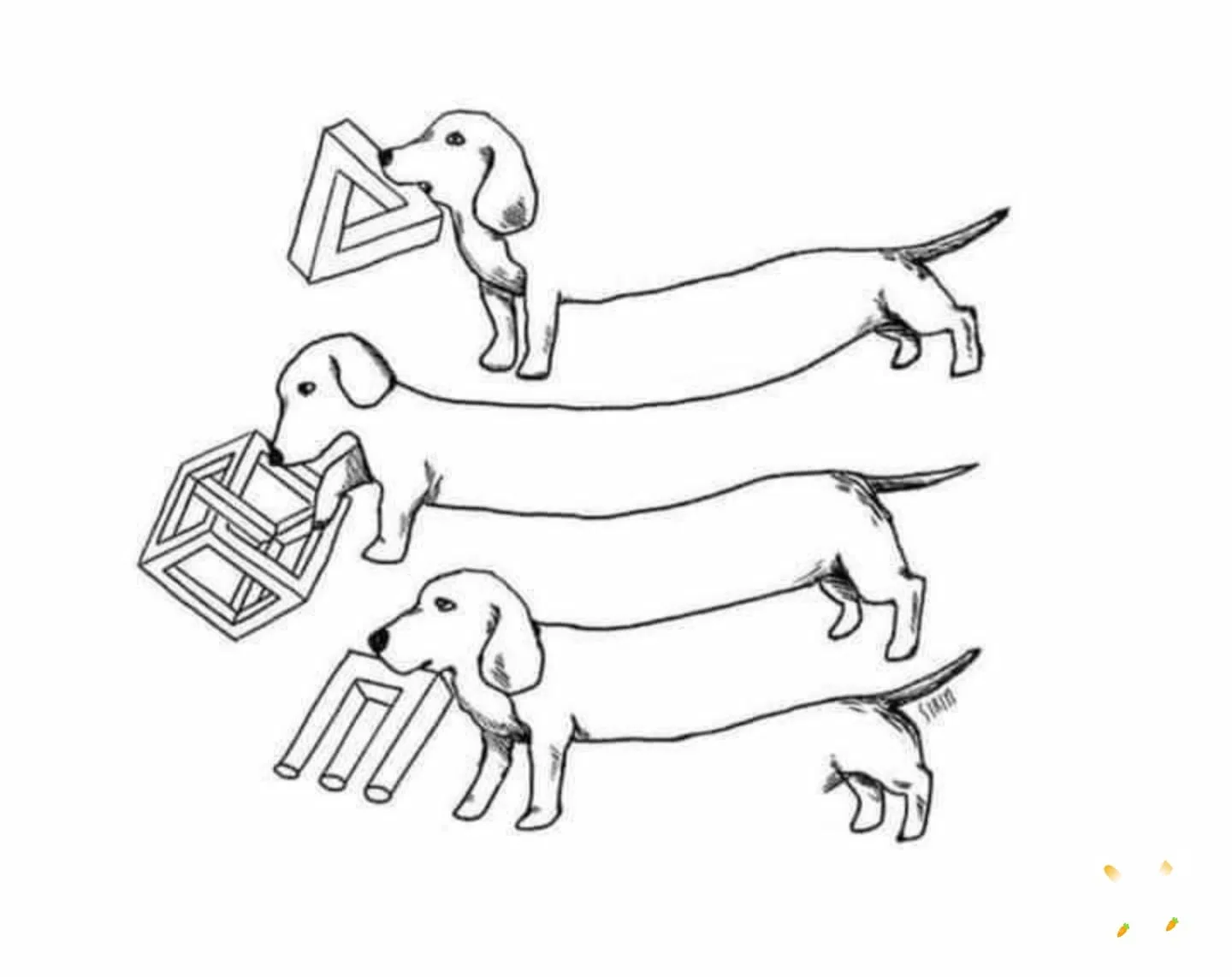 optical illusion meme